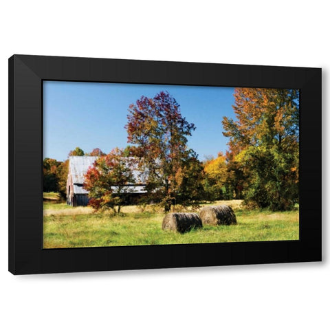 Autumn Scene I Black Modern Wood Framed Art Print with Double Matting by Hausenflock, Alan