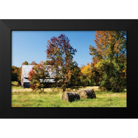 Autumn Scene I Black Modern Wood Framed Art Print by Hausenflock, Alan