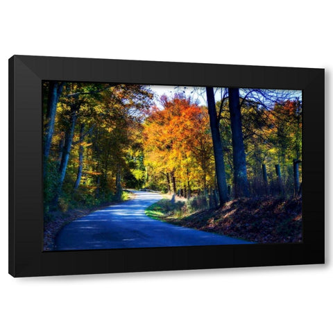 Twisting Autumn Road I Black Modern Wood Framed Art Print with Double Matting by Hausenflock, Alan