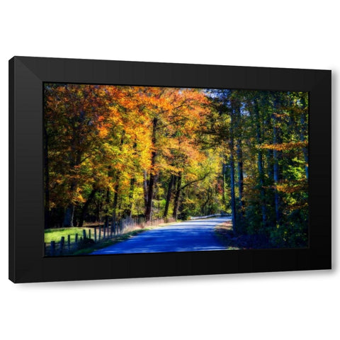 Twisting Autumn Road II Black Modern Wood Framed Art Print with Double Matting by Hausenflock, Alan