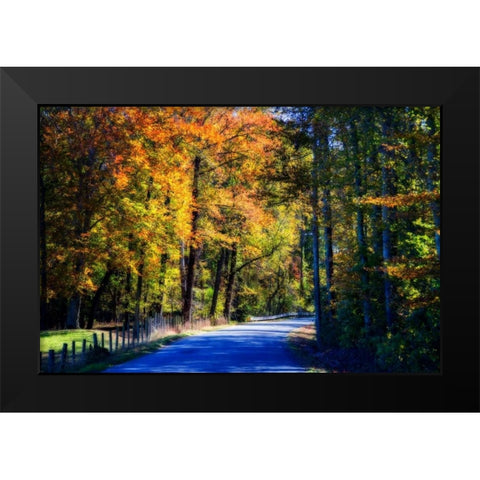 Twisting Autumn Road II Black Modern Wood Framed Art Print by Hausenflock, Alan