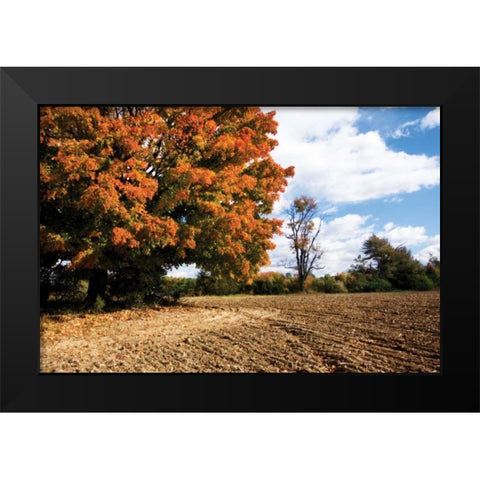 Autumn Scene II Black Modern Wood Framed Art Print by Hausenflock, Alan