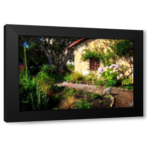 Mission Garden Black Modern Wood Framed Art Print by Hausenflock, Alan