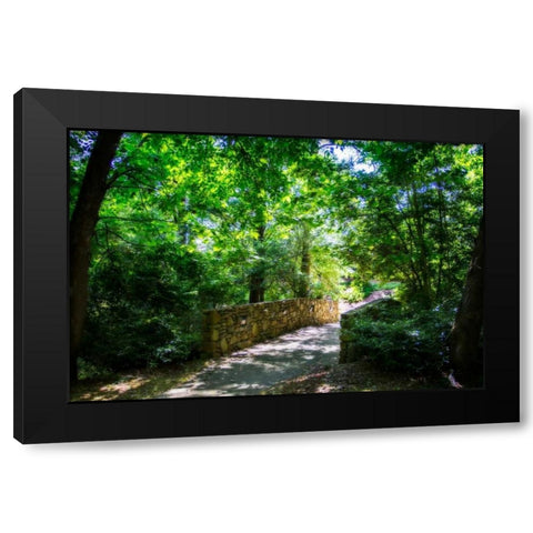 Shaded Bridge I Black Modern Wood Framed Art Print with Double Matting by Hausenflock, Alan