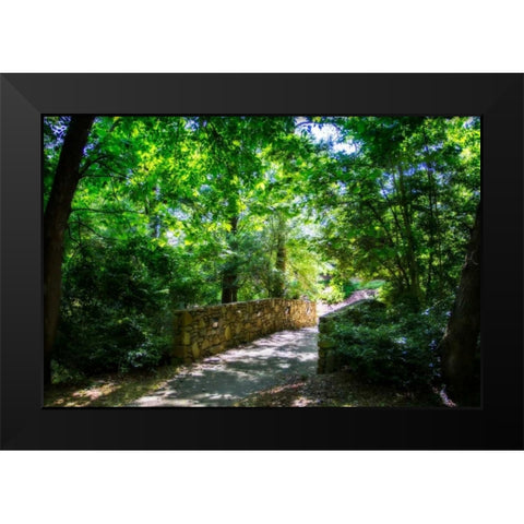 Shaded Bridge I Black Modern Wood Framed Art Print by Hausenflock, Alan