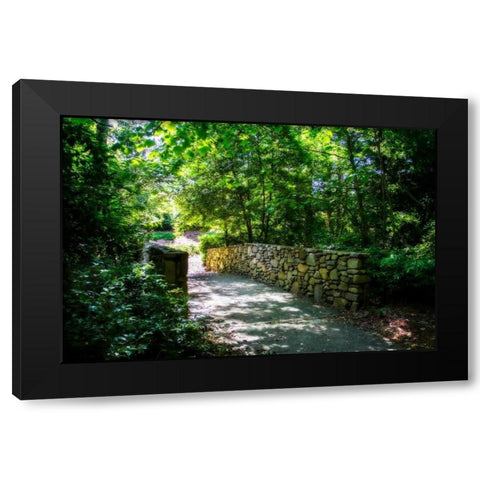 Shaded Bridge II Black Modern Wood Framed Art Print with Double Matting by Hausenflock, Alan