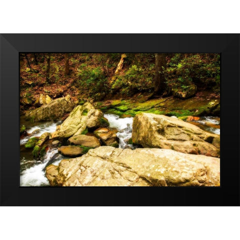 Covington Woods I Black Modern Wood Framed Art Print by Hausenflock, Alan