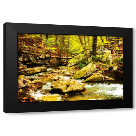 Covington Woods II Black Modern Wood Framed Art Print with Double Matting by Hausenflock, Alan