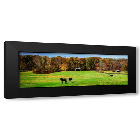 Virginia Horse Farm I Black Modern Wood Framed Art Print with Double Matting by Hausenflock, Alan