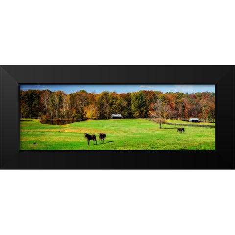 Virginia Horse Farm I Black Modern Wood Framed Art Print by Hausenflock, Alan