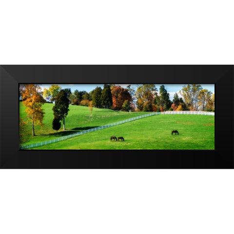 Virginia Horse Farm II Black Modern Wood Framed Art Print by Hausenflock, Alan