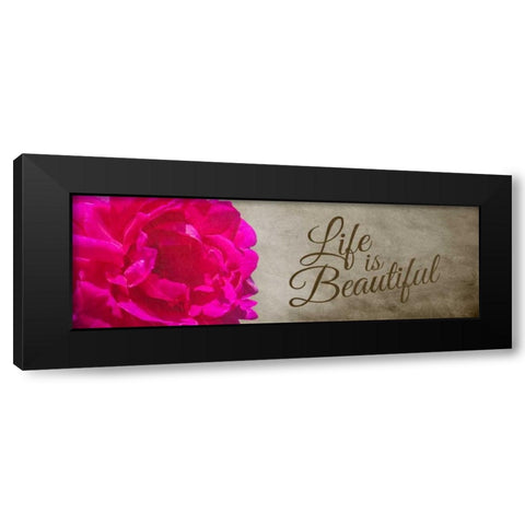 Life is Beautiful Black Modern Wood Framed Art Print with Double Matting by Hausenflock, Alan