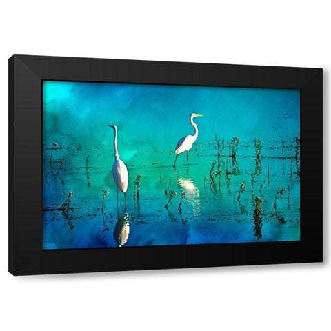 Wading Herons I Black Modern Wood Framed Art Print with Double Matting by Hausenflock, Alan