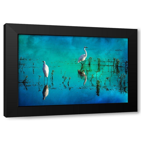 Wading Herons II Black Modern Wood Framed Art Print by Hausenflock, Alan