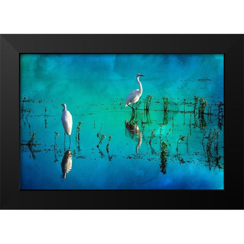 Wading Herons II Black Modern Wood Framed Art Print by Hausenflock, Alan