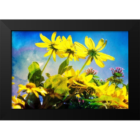 Flowers on Watercolor I Black Modern Wood Framed Art Print by Hausenflock, Alan