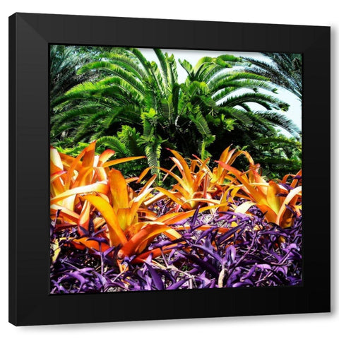 Tropical Garden I Black Modern Wood Framed Art Print with Double Matting by Hausenflock, Alan