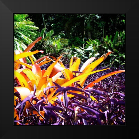 Tropical Garden II Black Modern Wood Framed Art Print by Hausenflock, Alan