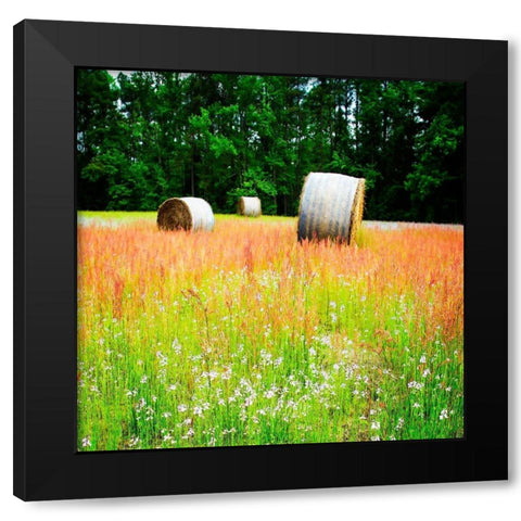 Spring Fields I Black Modern Wood Framed Art Print with Double Matting by Hausenflock, Alan