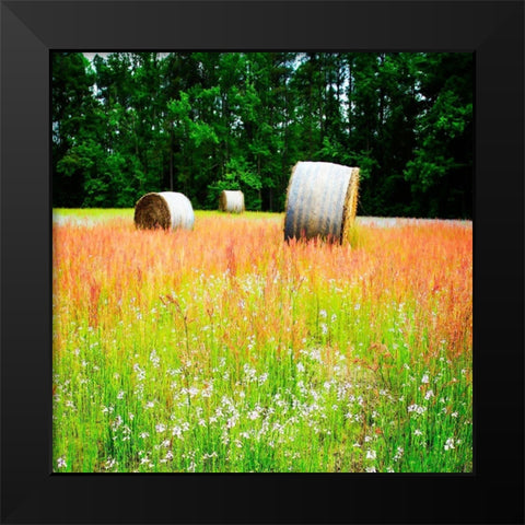 Spring Fields I Black Modern Wood Framed Art Print by Hausenflock, Alan