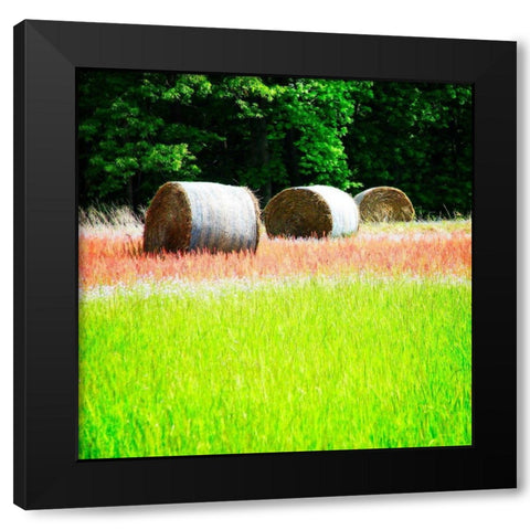 Spring Fields II Black Modern Wood Framed Art Print by Hausenflock, Alan