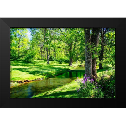 Gentle Stream II Black Modern Wood Framed Art Print by Hausenflock, Alan