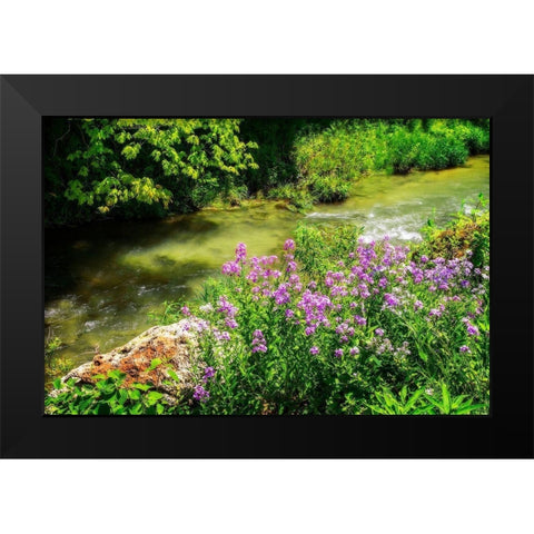 Gentle Stream III Black Modern Wood Framed Art Print by Hausenflock, Alan