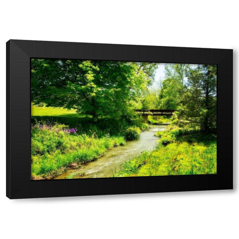 Gentle Stream IV Black Modern Wood Framed Art Print with Double Matting by Hausenflock, Alan