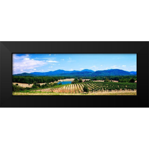 Virginia Vineyards I Black Modern Wood Framed Art Print by Hausenflock, Alan