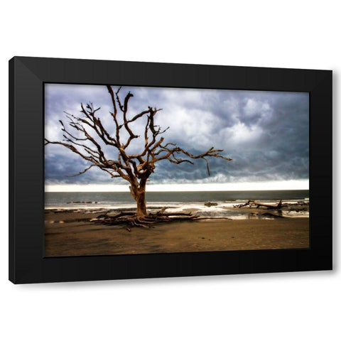 Storm is Coming I Black Modern Wood Framed Art Print with Double Matting by Hausenflock, Alan