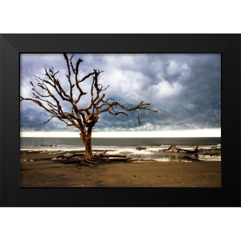 Storm is Coming I Black Modern Wood Framed Art Print by Hausenflock, Alan