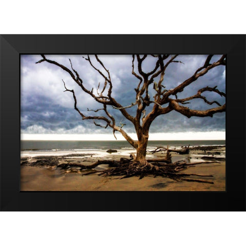 Storm is Coming II Black Modern Wood Framed Art Print by Hausenflock, Alan