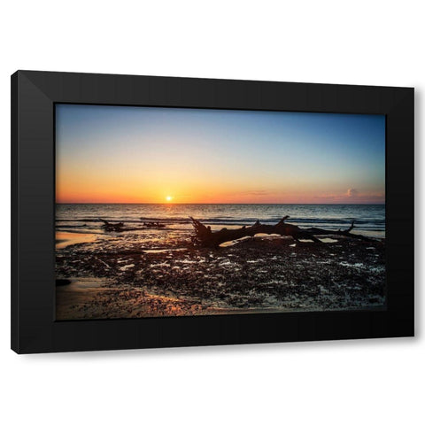 Jekyll Island Sunrise IV Black Modern Wood Framed Art Print with Double Matting by Hausenflock, Alan