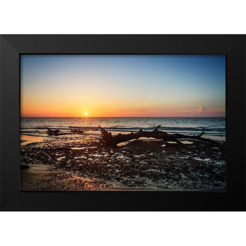 Jekyll Island Sunrise IV Black Modern Wood Framed Art Print by Hausenflock, Alan