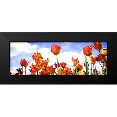Tulips in the Sun I Black Modern Wood Framed Art Print by Hausenflock, Alan