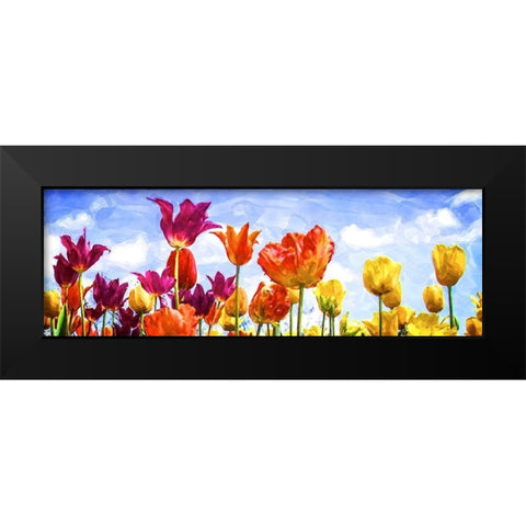 Tulips in the Sun II Black Modern Wood Framed Art Print by Hausenflock, Alan