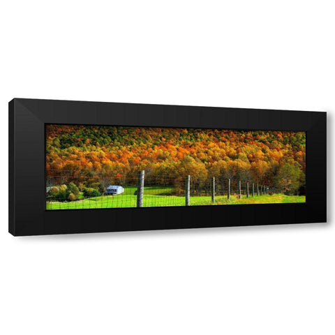 Autumn Splendor I Black Modern Wood Framed Art Print with Double Matting by Hausenflock, Alan