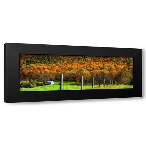 Autumn Splendor I Black Modern Wood Framed Art Print by Hausenflock, Alan