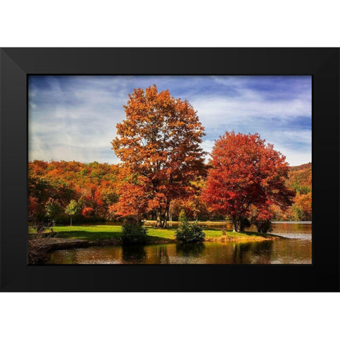 Autumn by the River II Black Modern Wood Framed Art Print by Hausenflock, Alan