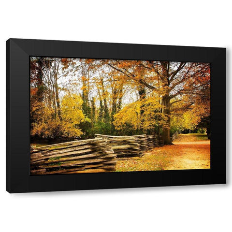 Late Fall Day I Black Modern Wood Framed Art Print with Double Matting by Hausenflock, Alan