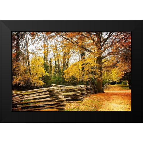 Late Fall Day I Black Modern Wood Framed Art Print by Hausenflock, Alan