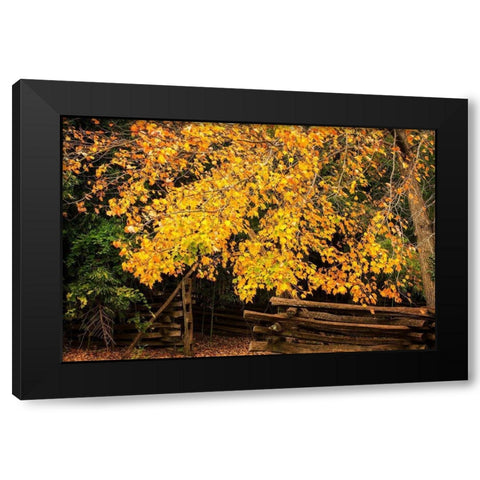 Late Fall Day II Black Modern Wood Framed Art Print with Double Matting by Hausenflock, Alan