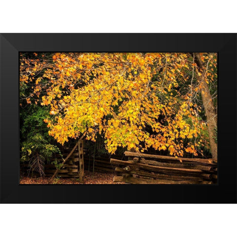 Late Fall Day II Black Modern Wood Framed Art Print by Hausenflock, Alan