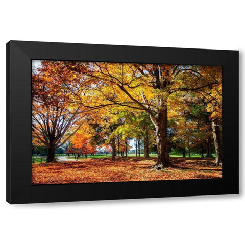 Autumn on the Plantation I Black Modern Wood Framed Art Print with Double Matting by Hausenflock, Alan