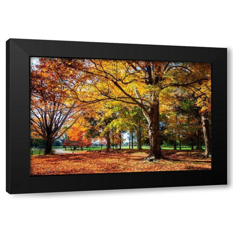 Autumn on the Plantation I Black Modern Wood Framed Art Print by Hausenflock, Alan