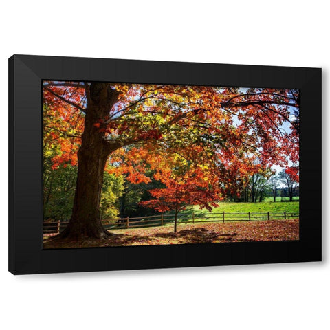 Autumn on the Plantation II Black Modern Wood Framed Art Print with Double Matting by Hausenflock, Alan