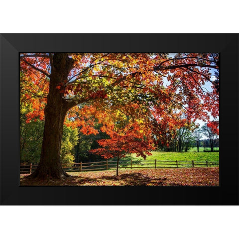 Autumn on the Plantation II Black Modern Wood Framed Art Print by Hausenflock, Alan