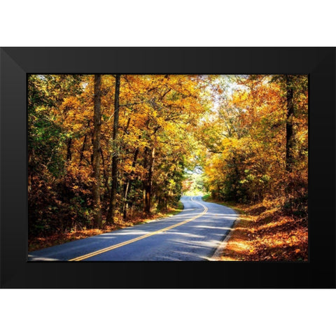 Walnut Grove Road I Black Modern Wood Framed Art Print by Hausenflock, Alan