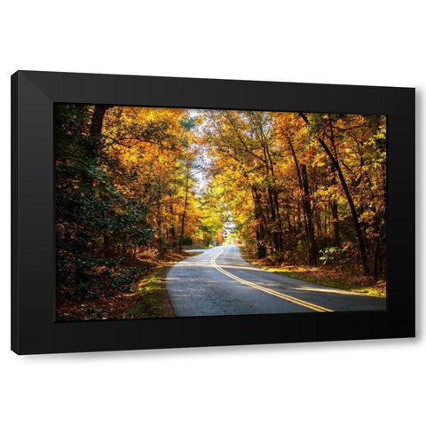 Walnut Grove Road II Black Modern Wood Framed Art Print with Double Matting by Hausenflock, Alan