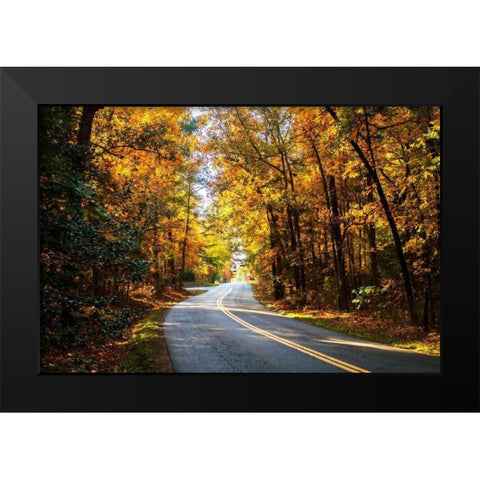 Walnut Grove Road II Black Modern Wood Framed Art Print by Hausenflock, Alan